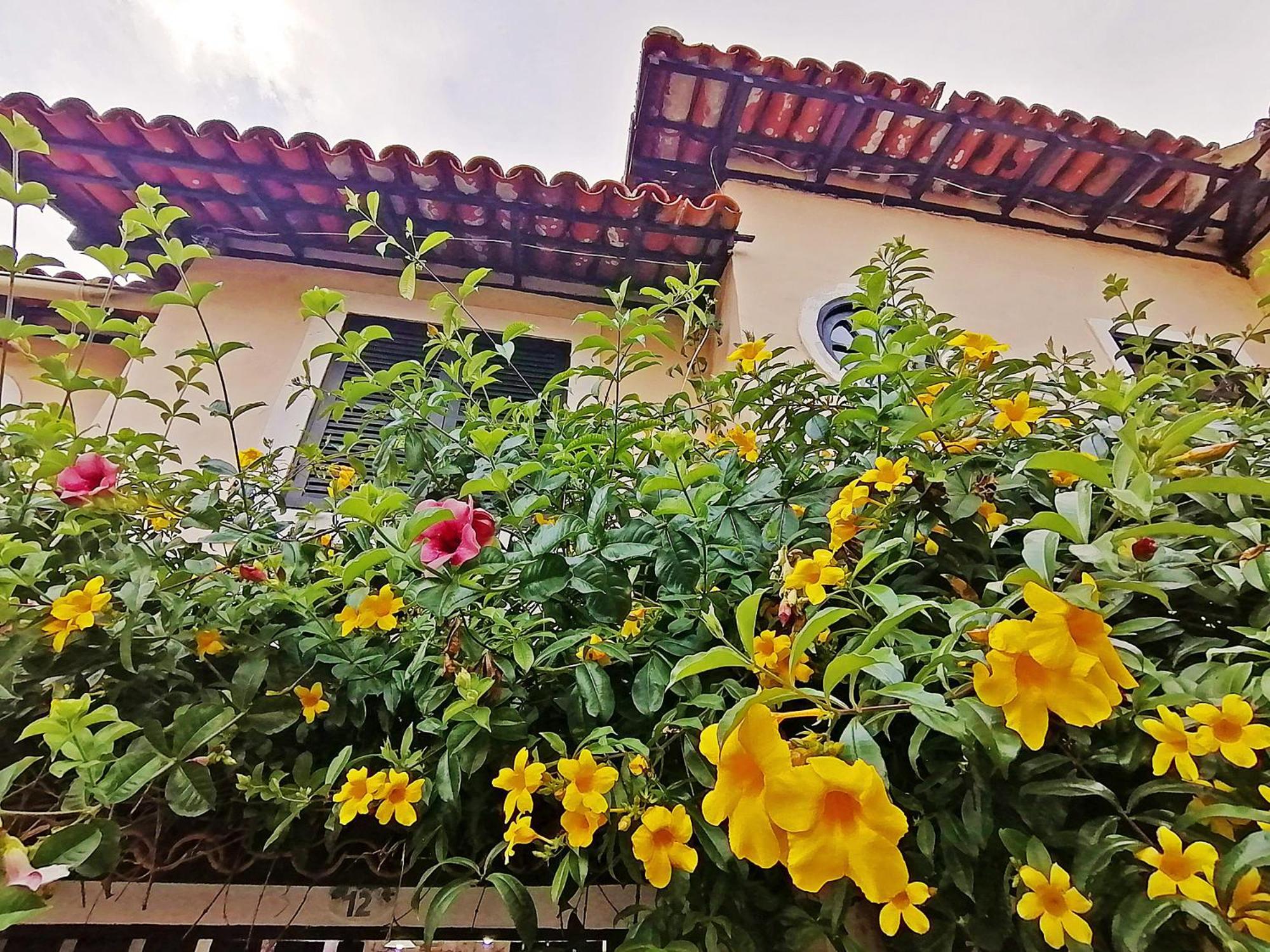 Casa A 500M Da Rua Das Pedras Em Lindo Condominio Com Portaria 24H Armacao dos Buzios Bagian luar foto